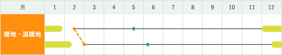 「夏扇タフナー」の作型図