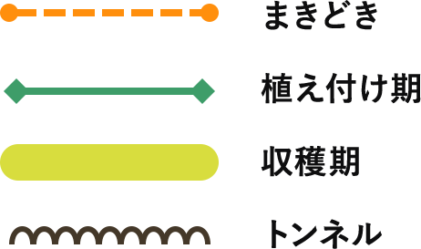 まきどき、植え付け期、収穫期、トンネル