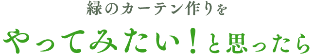 緑のカーテンをやってみたい！と思ったら