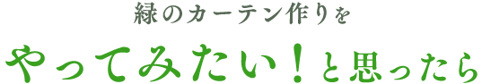 緑のカーテンをやってみたい！と思ったら