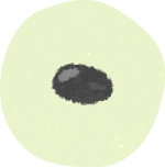 黒豆のイラスト