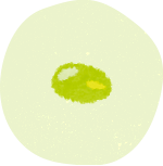 茶豆風味のイラスト