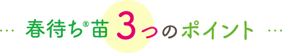春待ち®苗３つのポイント