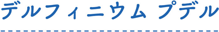 デルフィニウム プデル