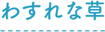 わすれな草