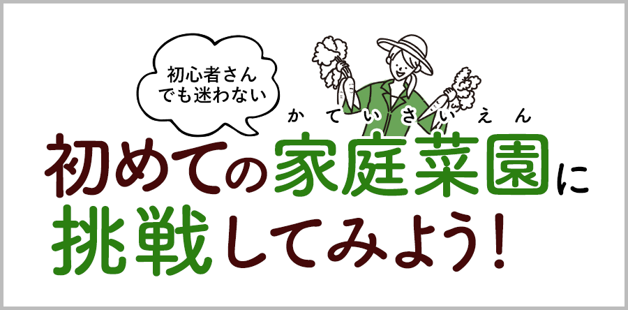 初心者さんでも迷わない 初めての家庭菜園に挑戦してみよう！