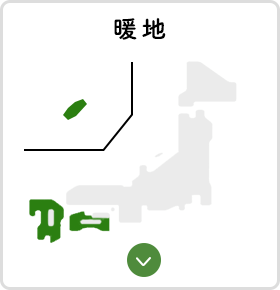 暖地