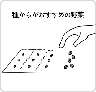 種からがおすすめの野菜