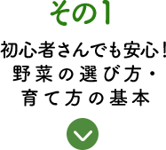 その1 初心者さんでも安心！野菜の選び方・育て方の基本