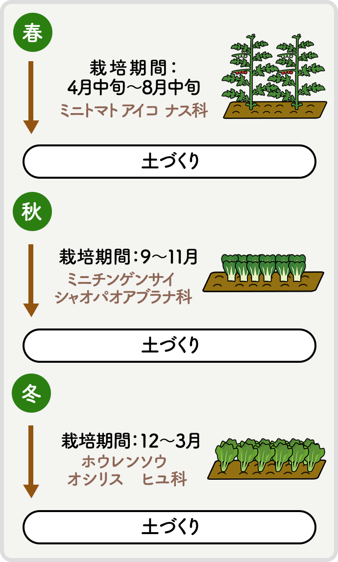 春 栽培期間：4月中旬~8月中旬 ミニトマト アイコ（ナス科）→土づくり→秋 栽培期間：9~11月 ミニチンゲンサイ シャオパオ（アブラナ科）→土づくり→冬 栽培期間：12~3月 ホウレンソウ オシリス（ヒユ科）