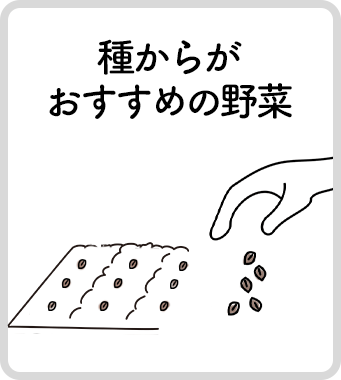 種からがおすすめの野菜