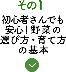 その1 初心者さんでも安心！野菜の選び方・育て方の基本