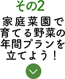 その2 家庭菜園で育てる野菜の年間プランを立てよう！