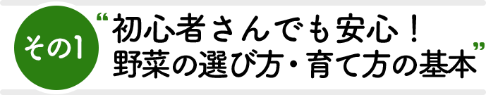 その1 初心者さんでも安心！野菜の選び方・育て方の基本