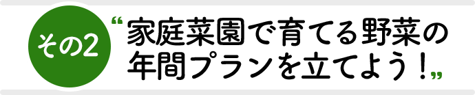 その2 家庭菜園で育てる野菜の年間プランを立てよう！