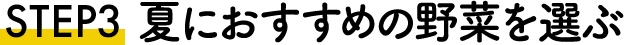 STEP2 夏におすすめの野菜を選ぶ