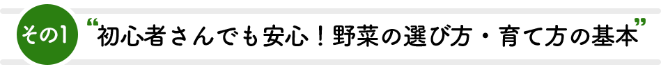 その1 初心者さんでも安心！野菜の選び方・育て方の基本