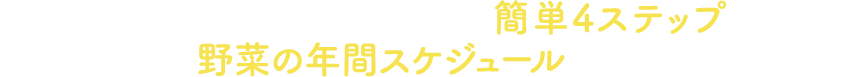 さっそく地域や難易度など簡単4ステップで、自分に合った野菜の年間スケジュールを立ててみましょう！