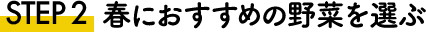 STEP2 春におすすめの野菜を選ぶ