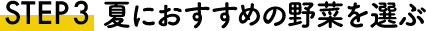 STEP2 夏におすすめの野菜を選ぶ