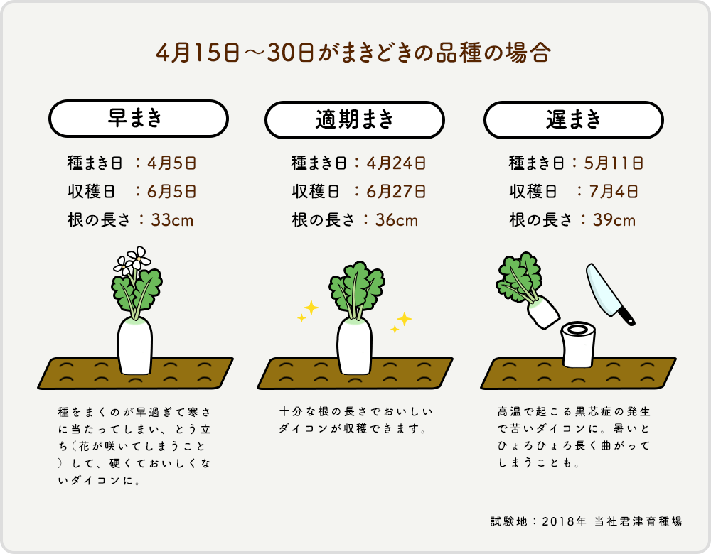 4月15日~30日がまきどきの品種の場合