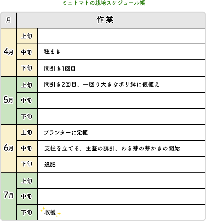 ミニトマトの栽培スケジュール帳