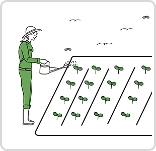 ポイント2 発芽に必要な条件を揃えよう