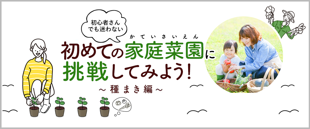 初心者さんでも迷わない 初めての家庭菜園に挑戦してみよう!~種まき編~
