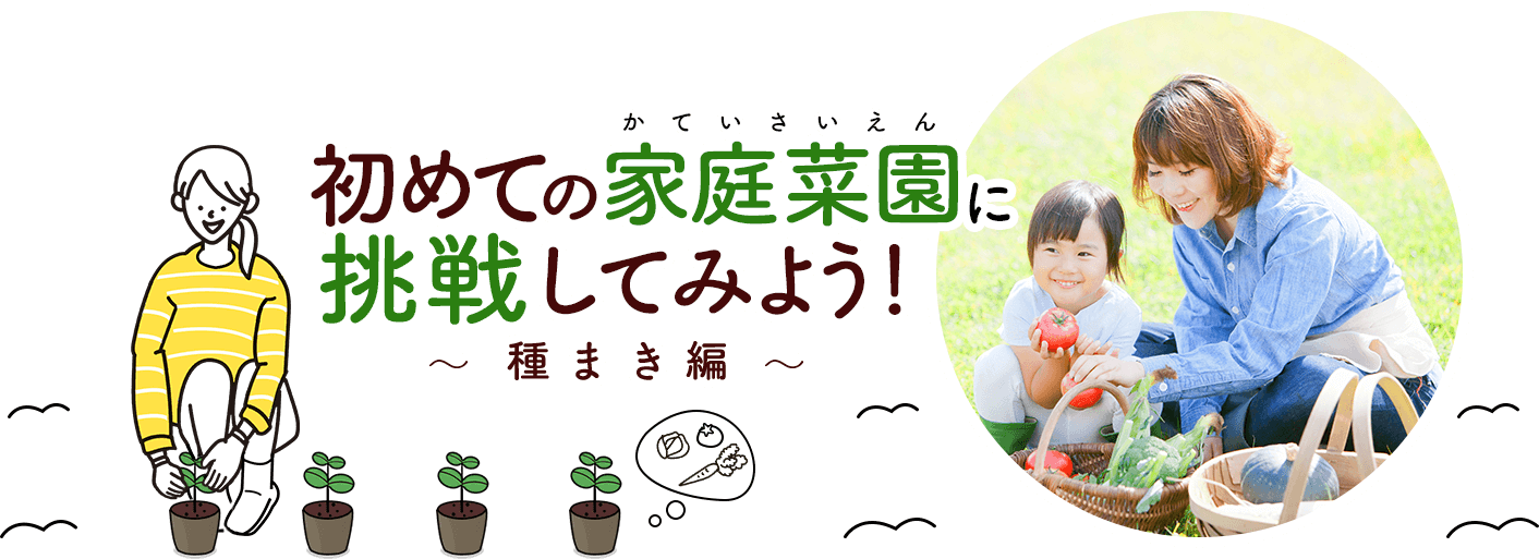 初めての家庭菜園に挑戦してみよう！～種まき編～