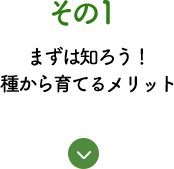 その1 まずは知ろう！種から育てるメリット