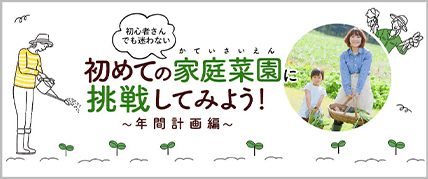 年間計画編について詳しくはこちら