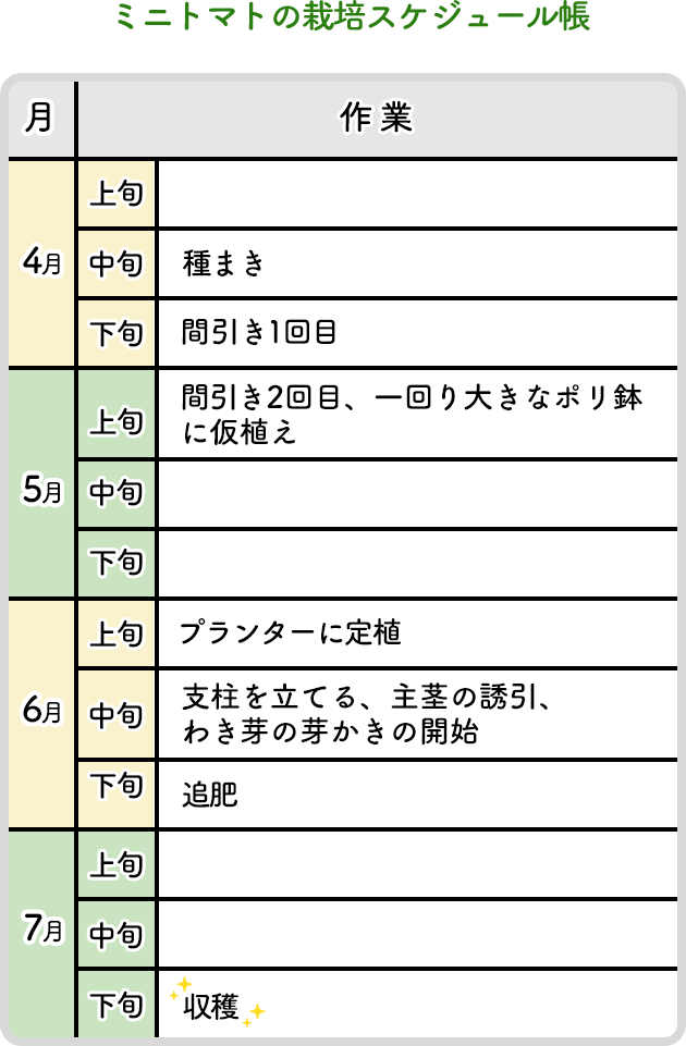 ミニトマトの栽培スケジュール帳