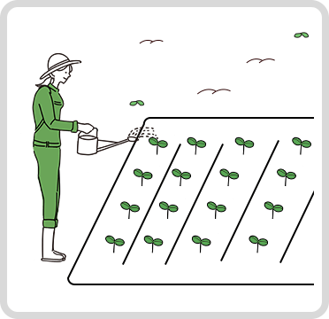 ポイント2 発芽に必要な条件を揃えよう