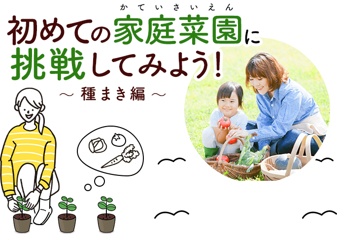 初めての家庭菜園に挑戦してみよう！～種まき編～