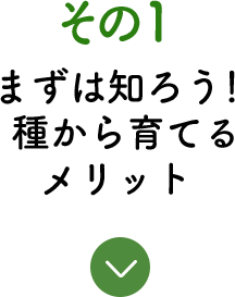 その1 まずは知ろう！種から育てるメリット