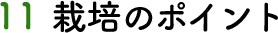 11 栽培のポイント