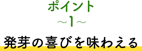 ポイント1 発芽の喜びを味わえる