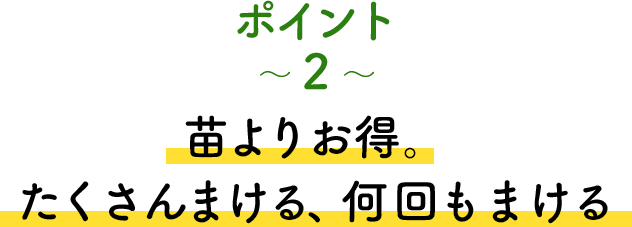 ポイント2 苗よりお得。たくさんまける、何回もまける