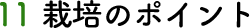 11 栽培のポイント