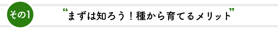 その1 まずは知ろう！種から育てるメリット