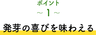 ポイント1 発芽の喜びを味わえる