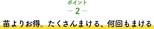 ポイント2 苗よりお得。たくさんまける、何回もまける