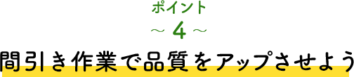 ポイント4 間引き作業で品質をアップさせよう