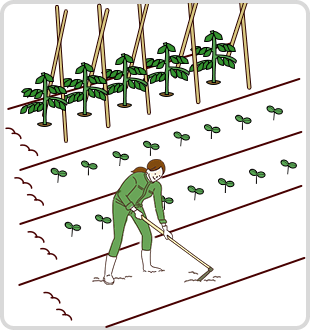 ポイント4 初心者さんでも簡単な土の耕し方を知ろう