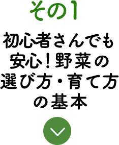 その1 家庭菜園を始めるならまずは土づくりをしよう！