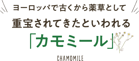 ヨーロッパで古くから薬草として重宝されてきたといわれる「カモミール」