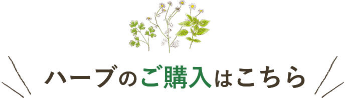 ハーブのご購入はこちら