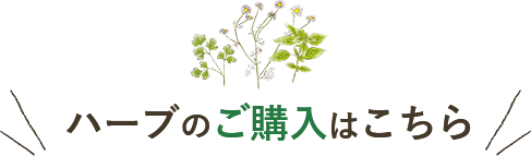 ハーブのご購入はこちら