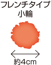 フレンチタイプ 小輪 約4cm