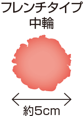 フレンチタイプ 中輪 約5cm